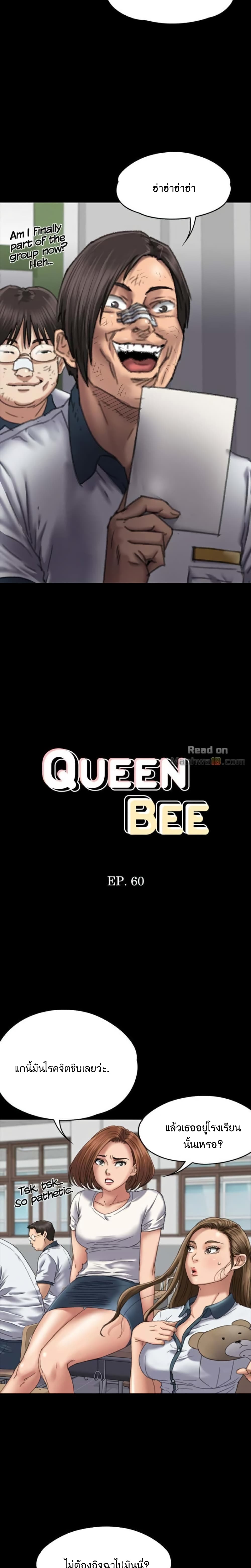 Queen Bee 60 (2)